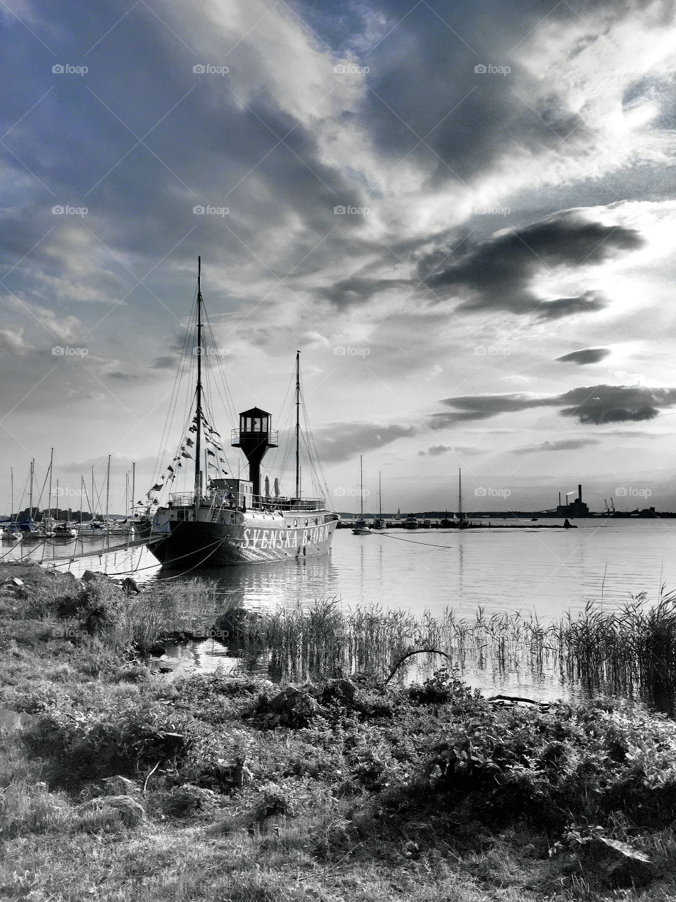 Harbour in black and white