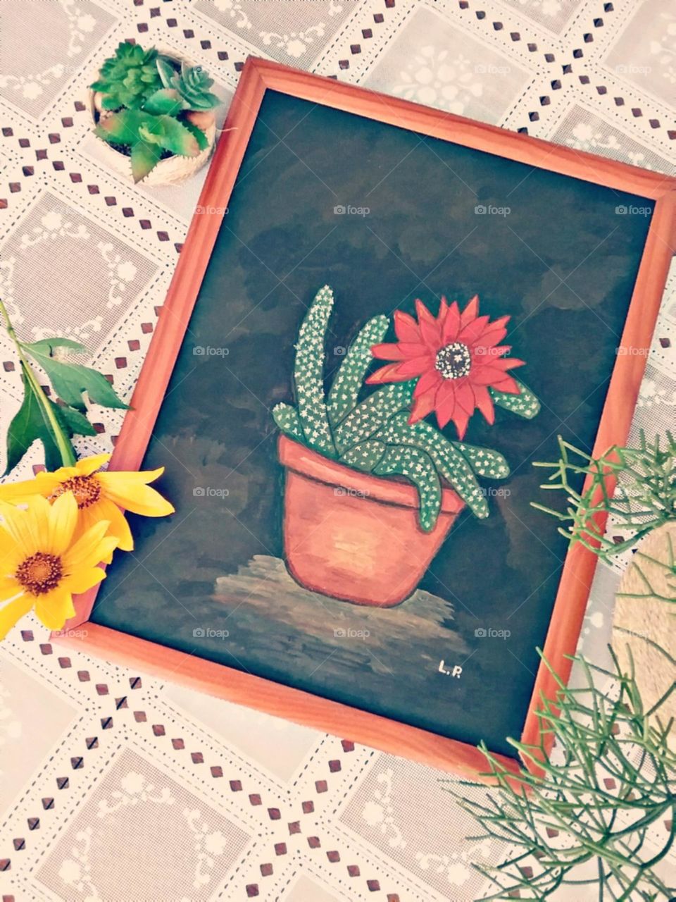 Cores quentes para o formoso cacto florido.