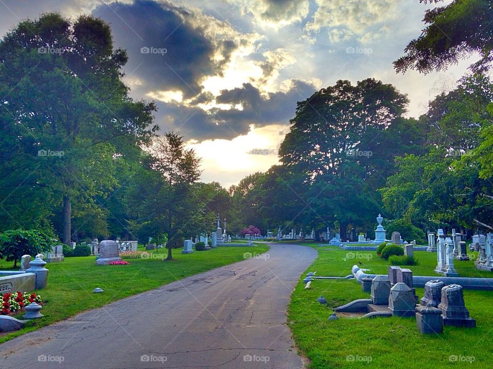 Walk along Mt. Auburn Cemetery