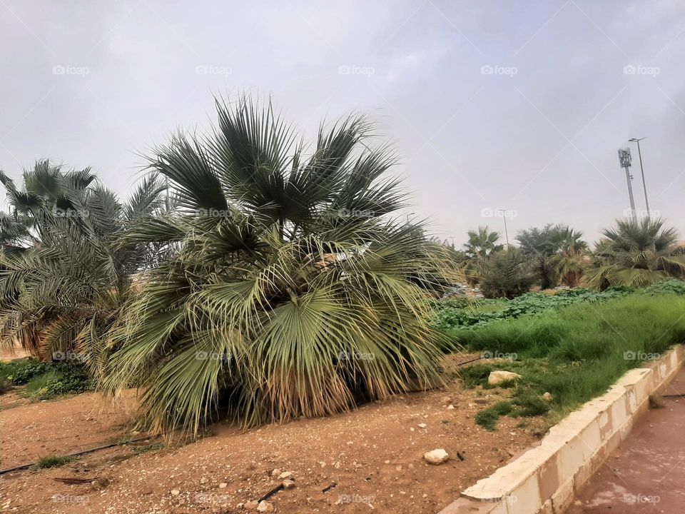 Please help me, I am very poor, I need your support and God is in need