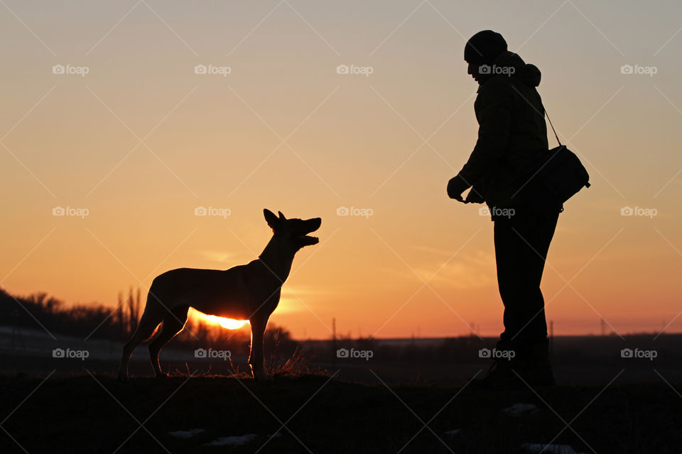 Man and malinois dog