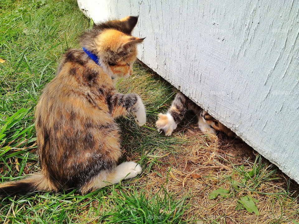 sky green field pretty by somebeach