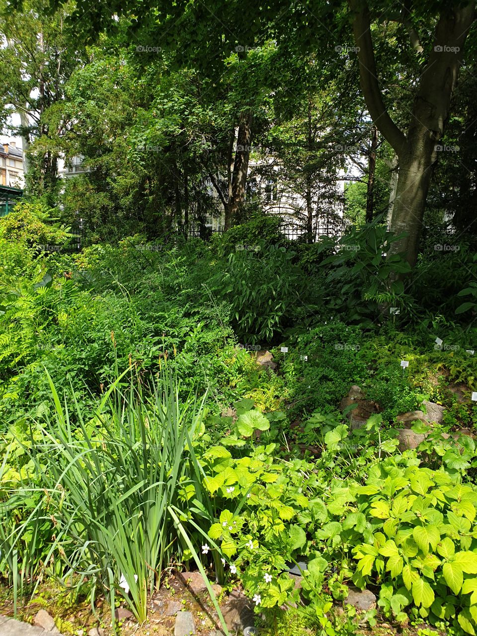 Palmengarten Frankfurt