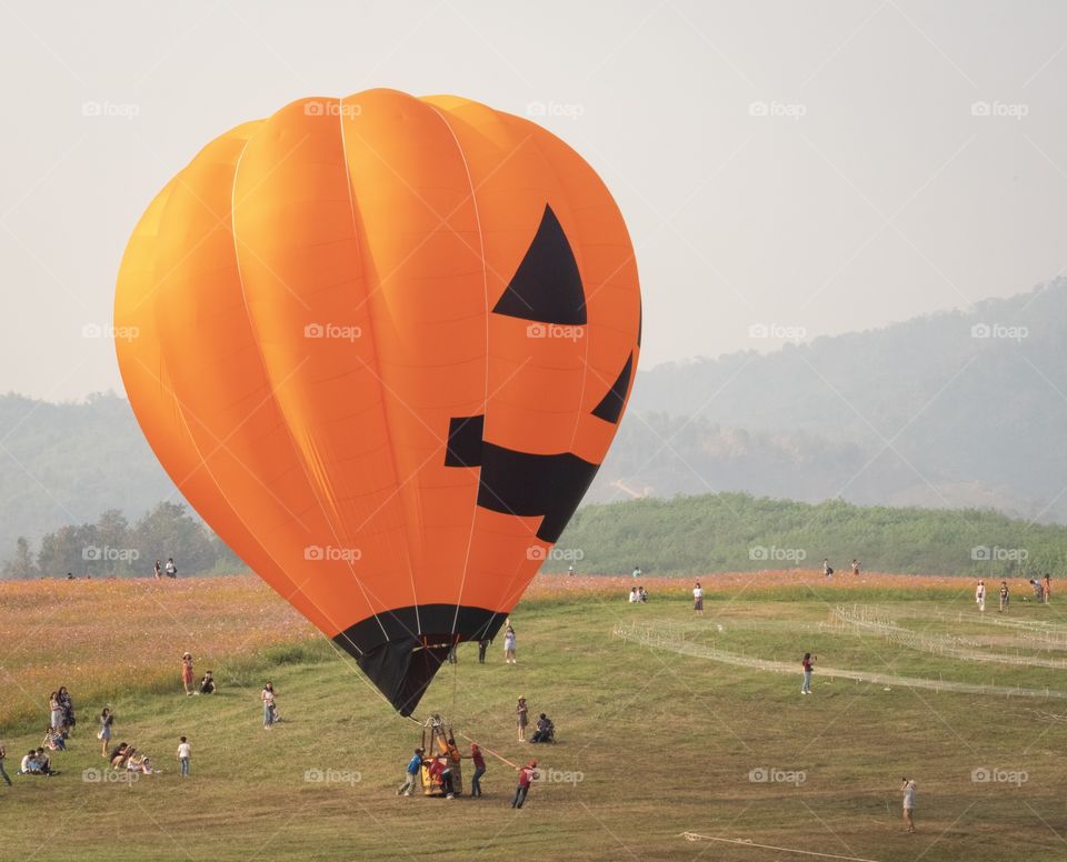 Chiang Rai/Thailand:February 16 2019-Ballon in the Beautiful colorful flower field ,Singha park Ballon Fiesta