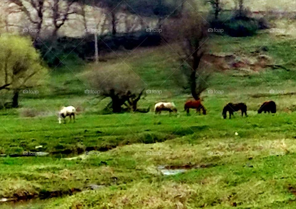 Driving the  back Roads and enjoying everything