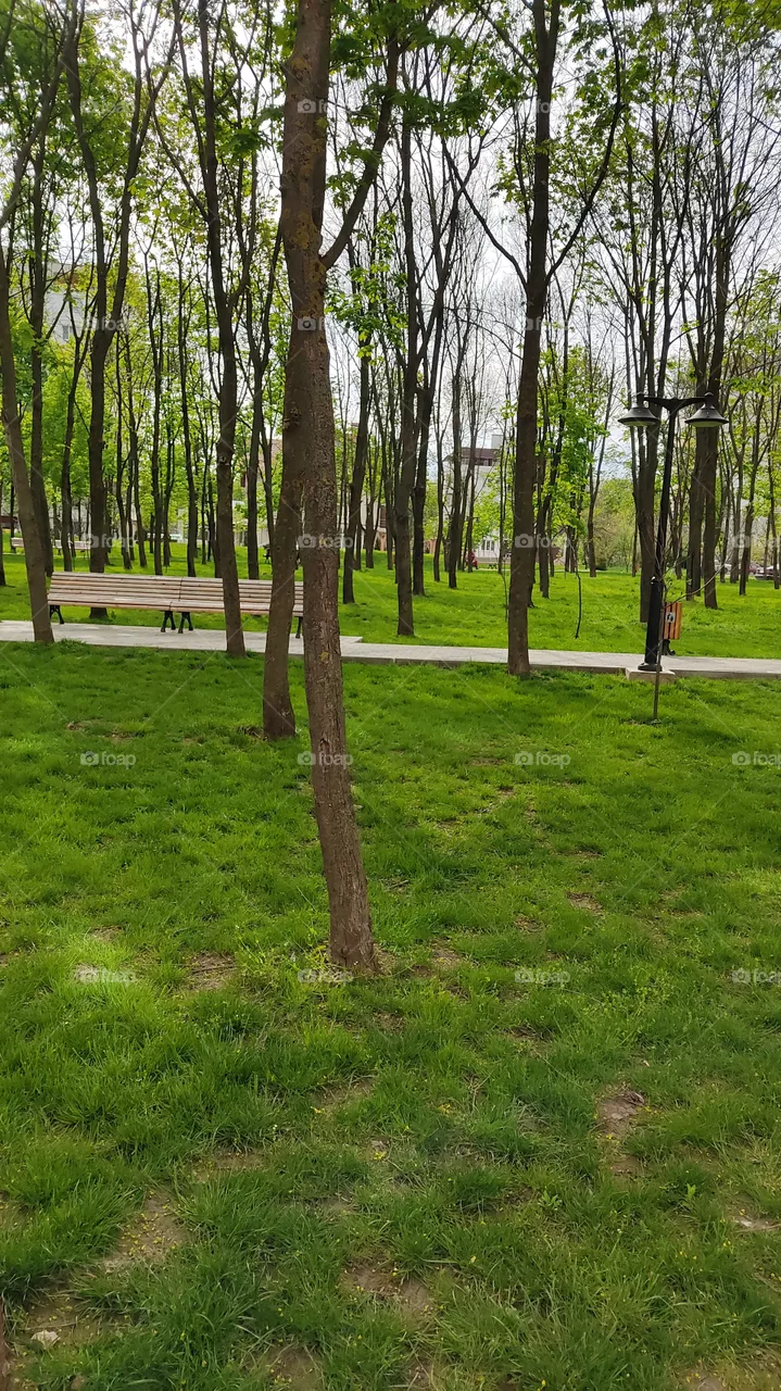 spring sunny day
