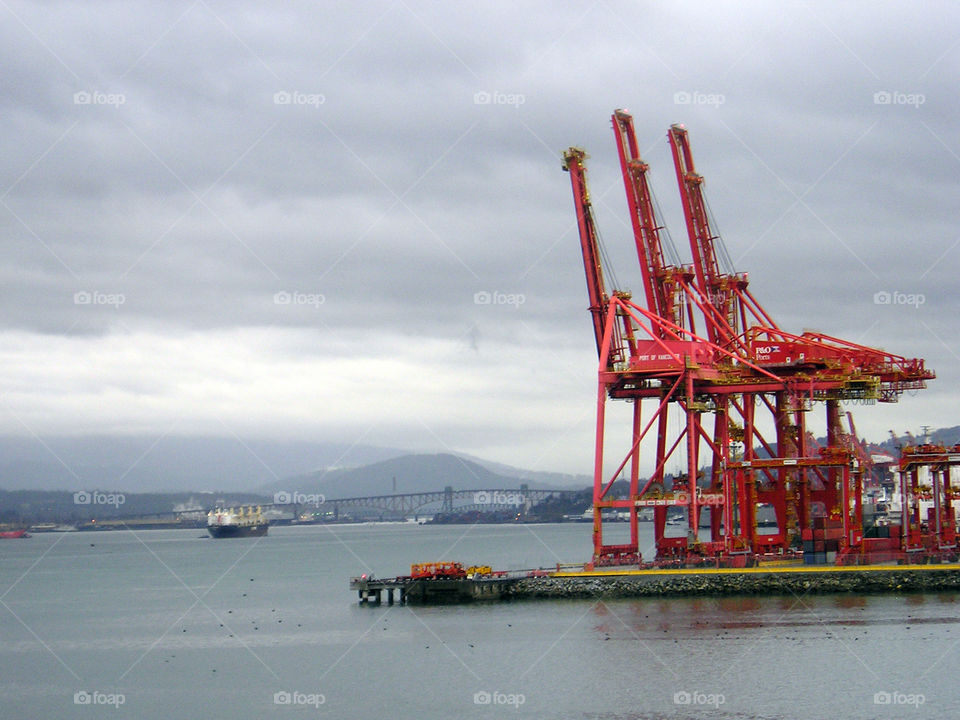 Three red giraffes in my fanciful  imagination