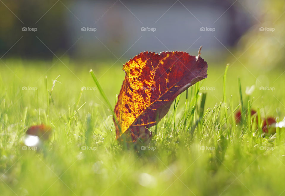 the beginning of autumn