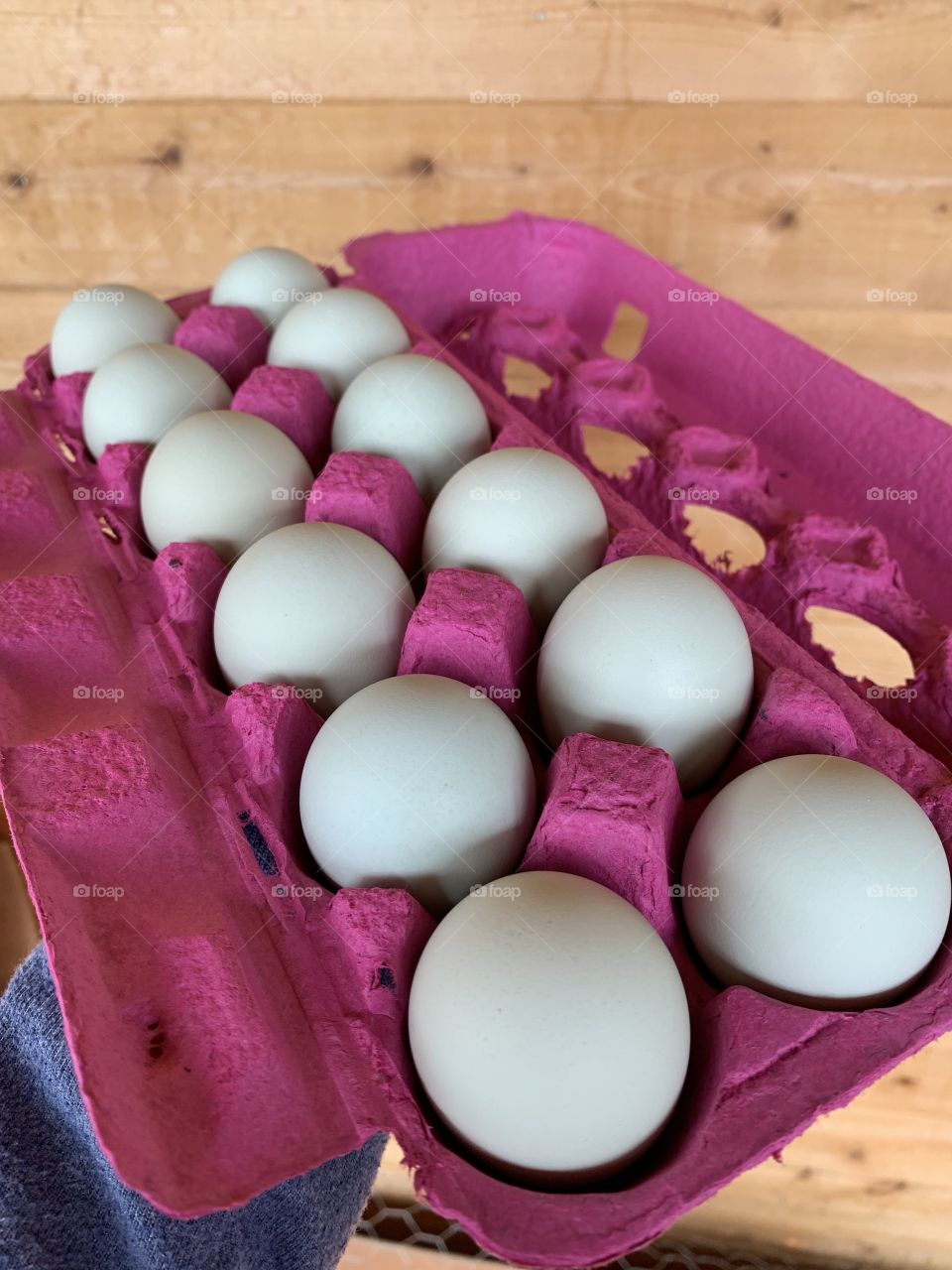 Farm fresh eggs 