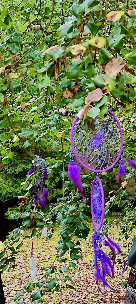American Indian style dream catchers tied to these lush green trees are offered for sale at the “Market of Possibilities” here in the garden and apple orchard of the old castle of “Steinach” in “Lower Bavaria”, Germany. 2024. Hypnotic Productions