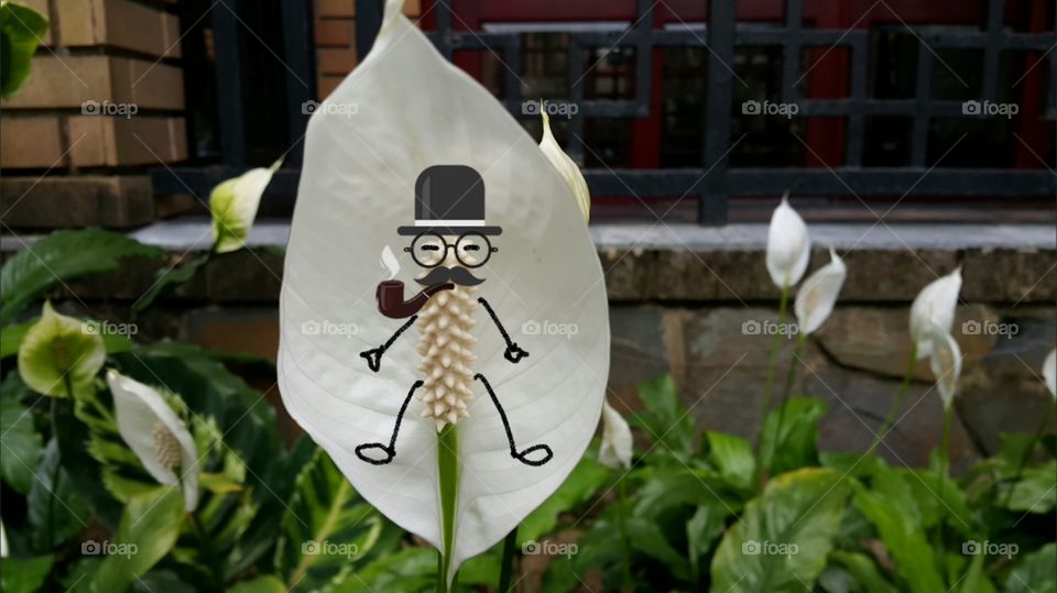 Mini Detective. Drawing on flower