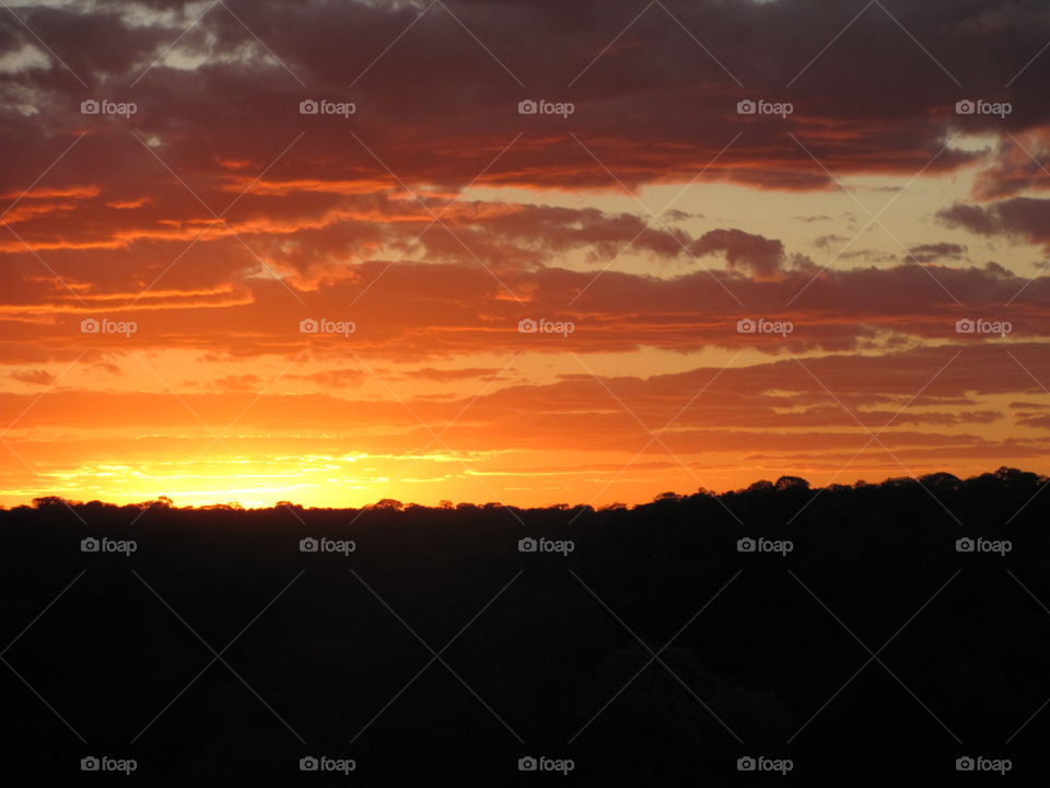 the sun will rise again