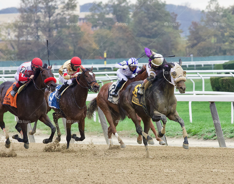 Empire Distaff "Lucky Move" Wins by fleetphoto.net