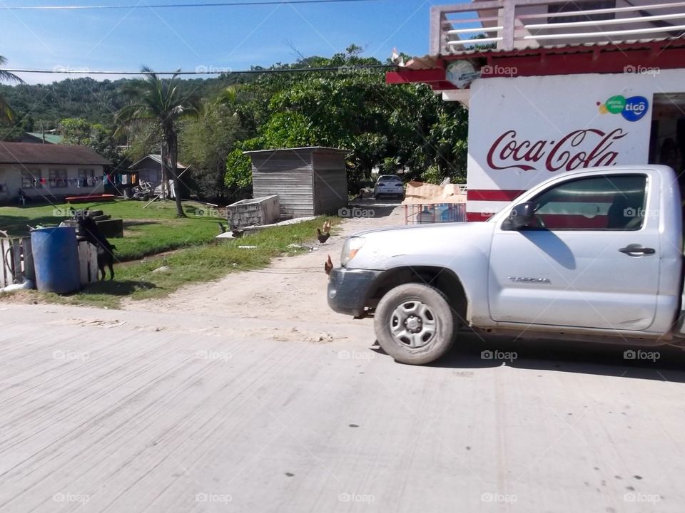 Photo from moving car traveling in Roatan, Honduras