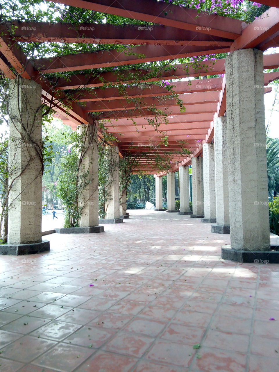 camino con pilares y arcos adornados por plantas de enredadera, ubicado en un parque... el techo es tipo pilares color anaranjado.