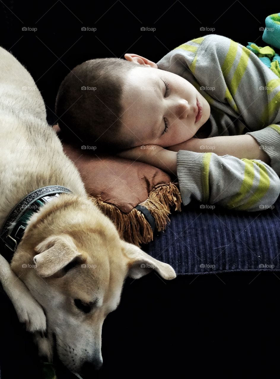 Boy Sleeping With Pet Dog