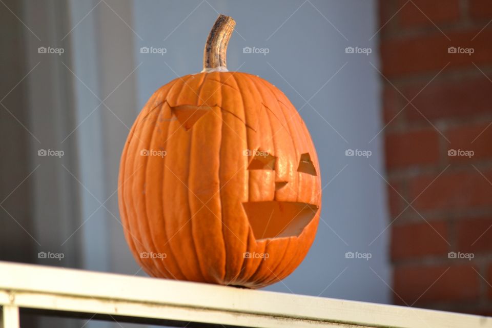 No Person, Pumpkin, Halloween, Fall, One