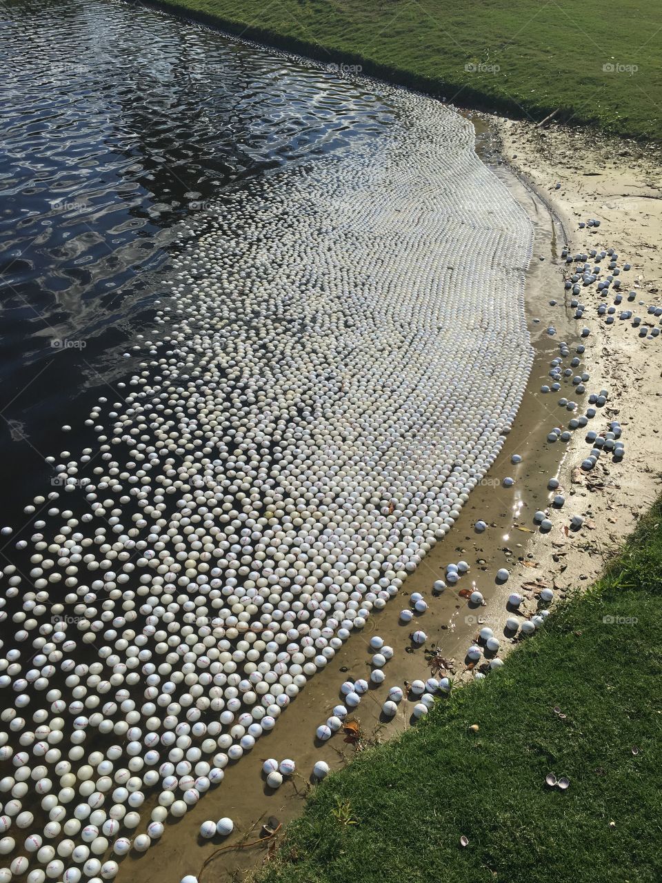 Gold balls mocking seashore in Florida 