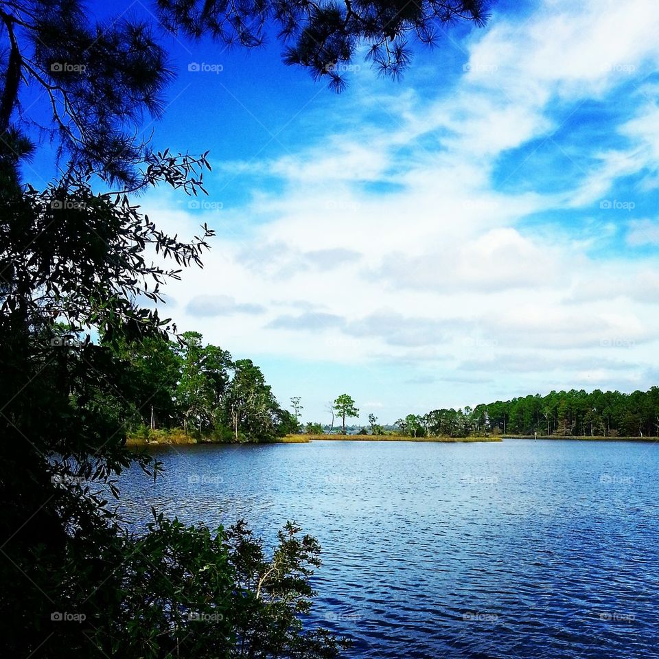 Coastal Dune Lake 