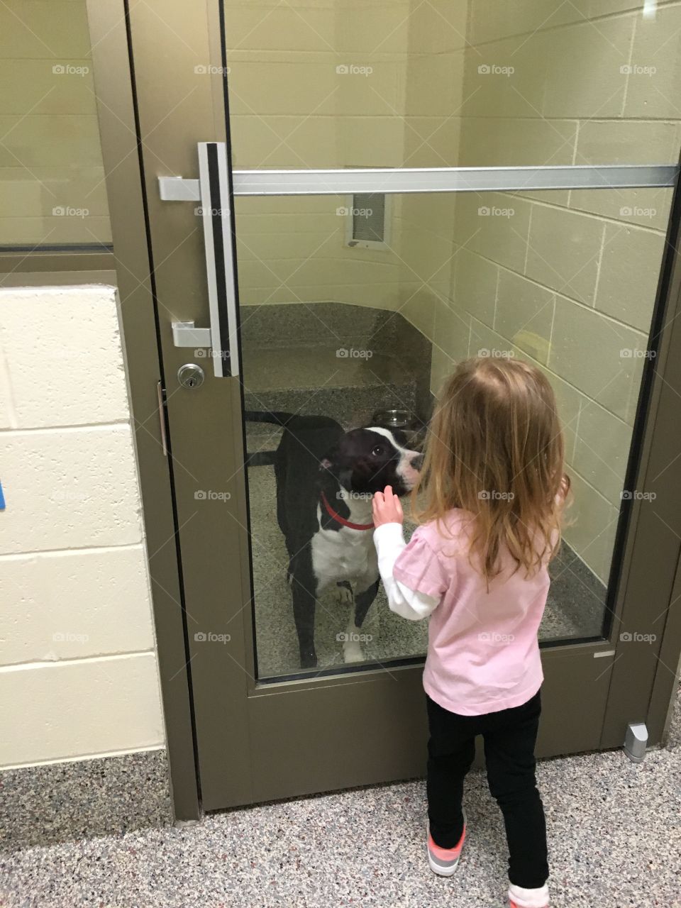 Little girl and doggy love! 