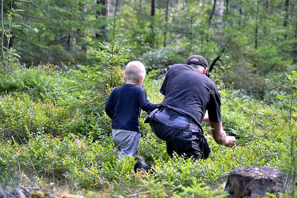 Rear view of man with his son in forest