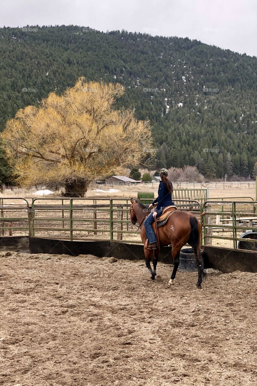 Brunette girl riding her bay quarter horse gelding. 