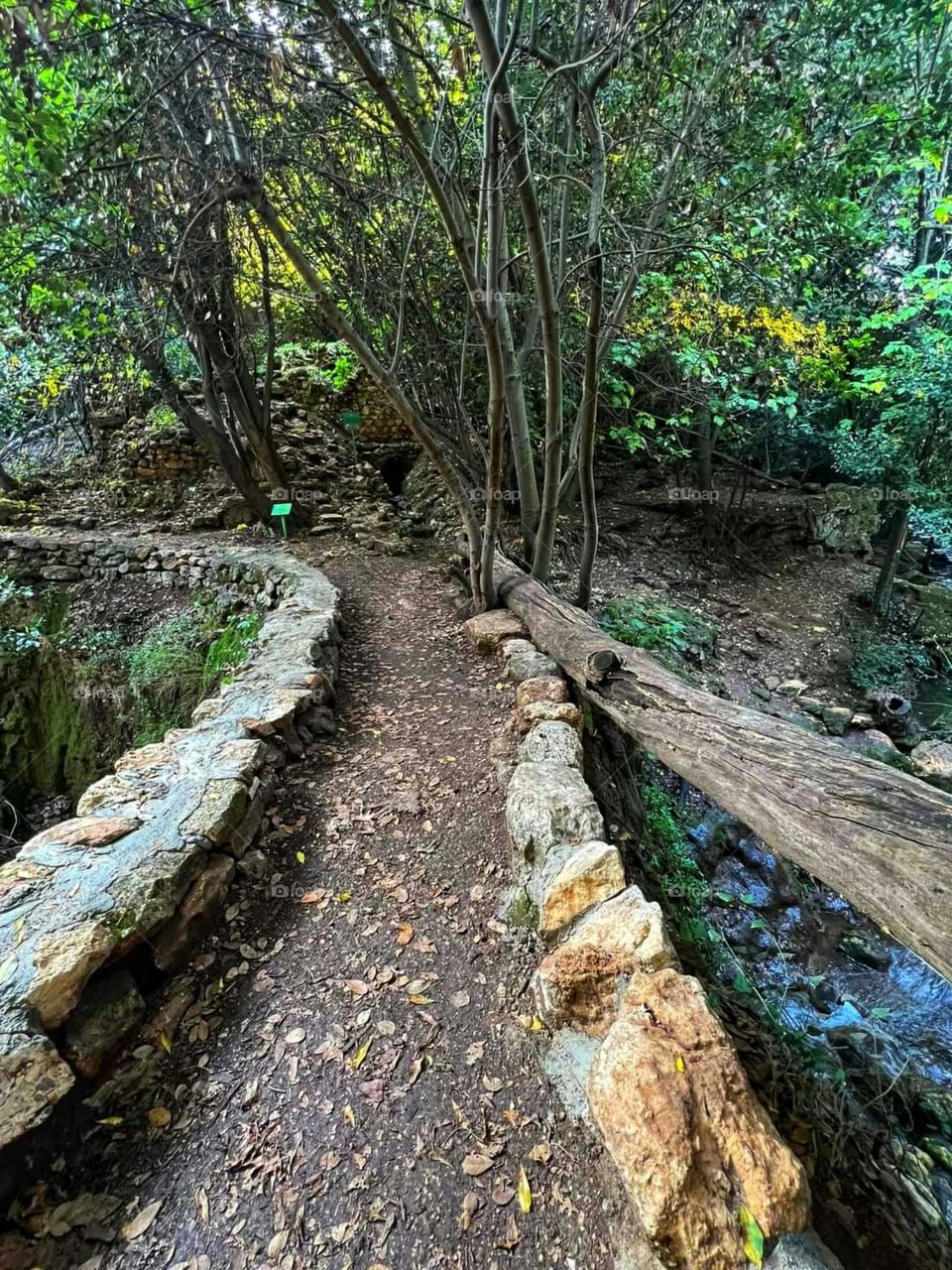 A fun trip in nature