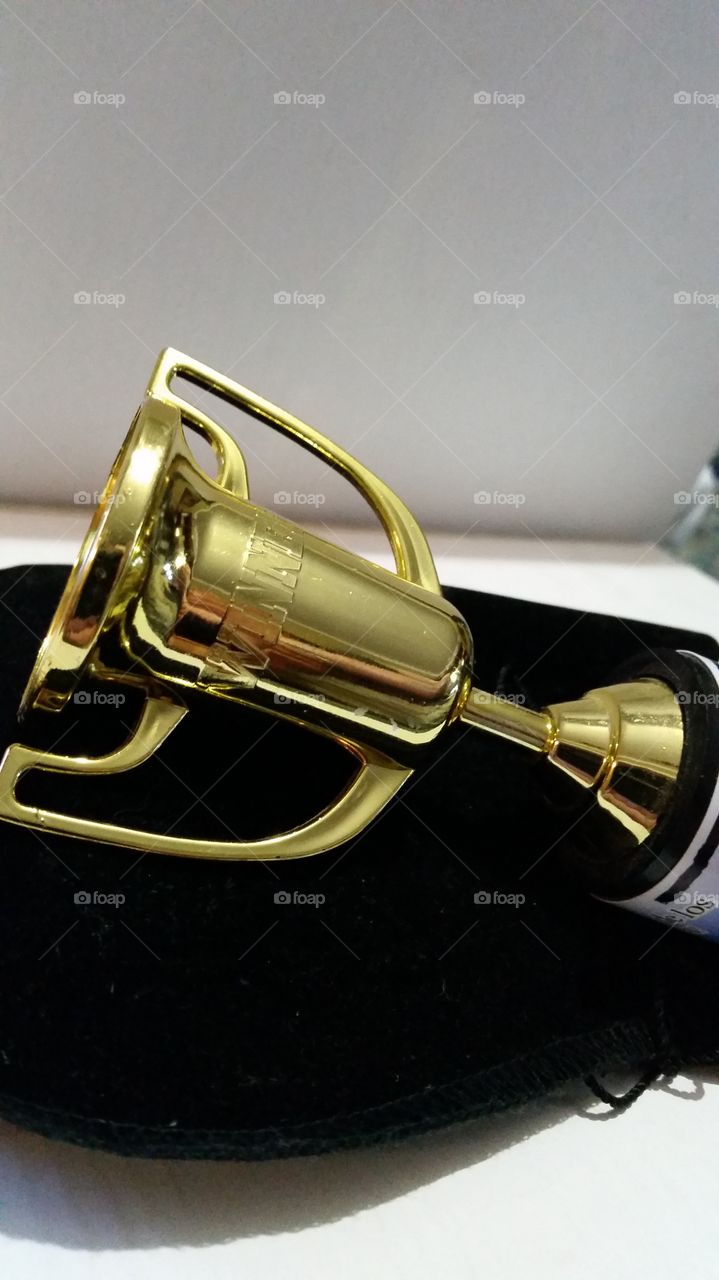 toy,trophy
