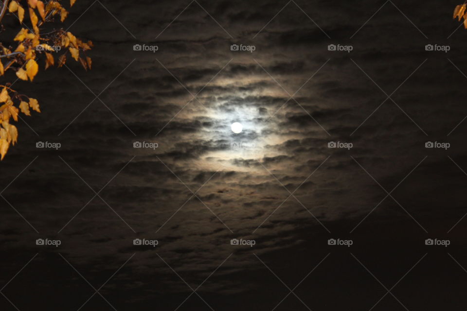 Moonlight clouds