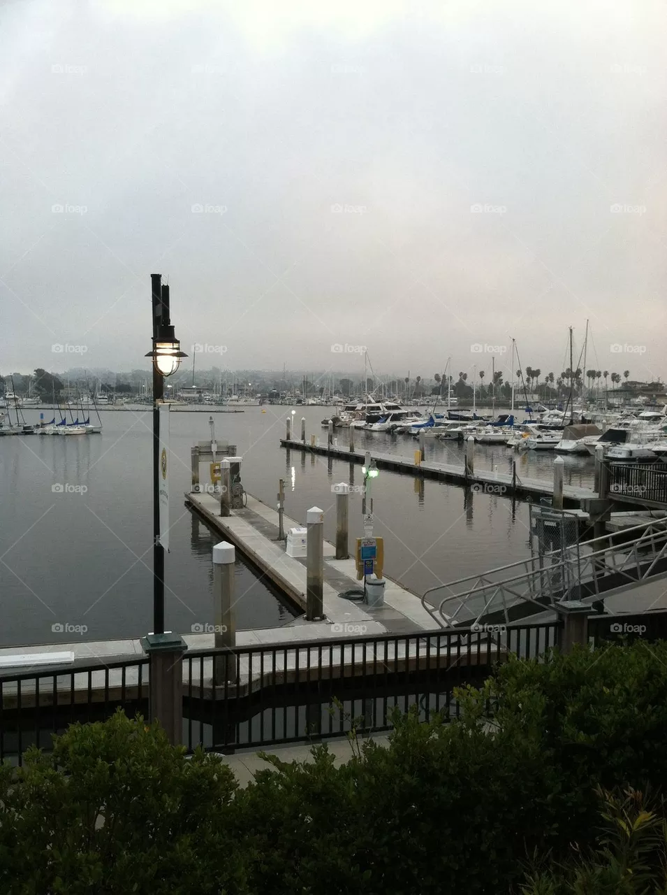 Pier Day 