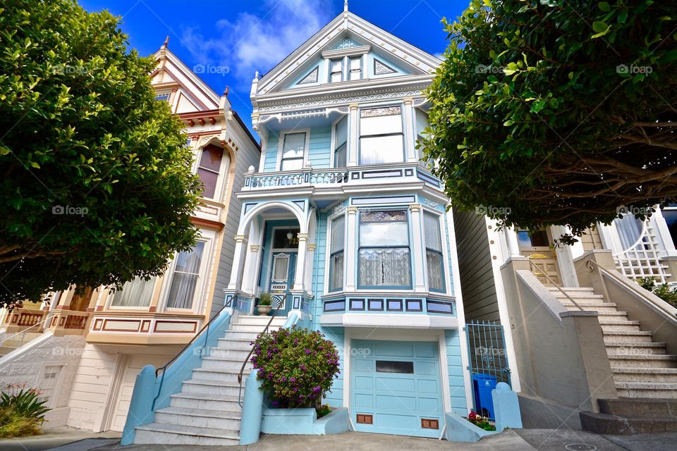 One of the distinguished Painted Ladies in San Francisco 