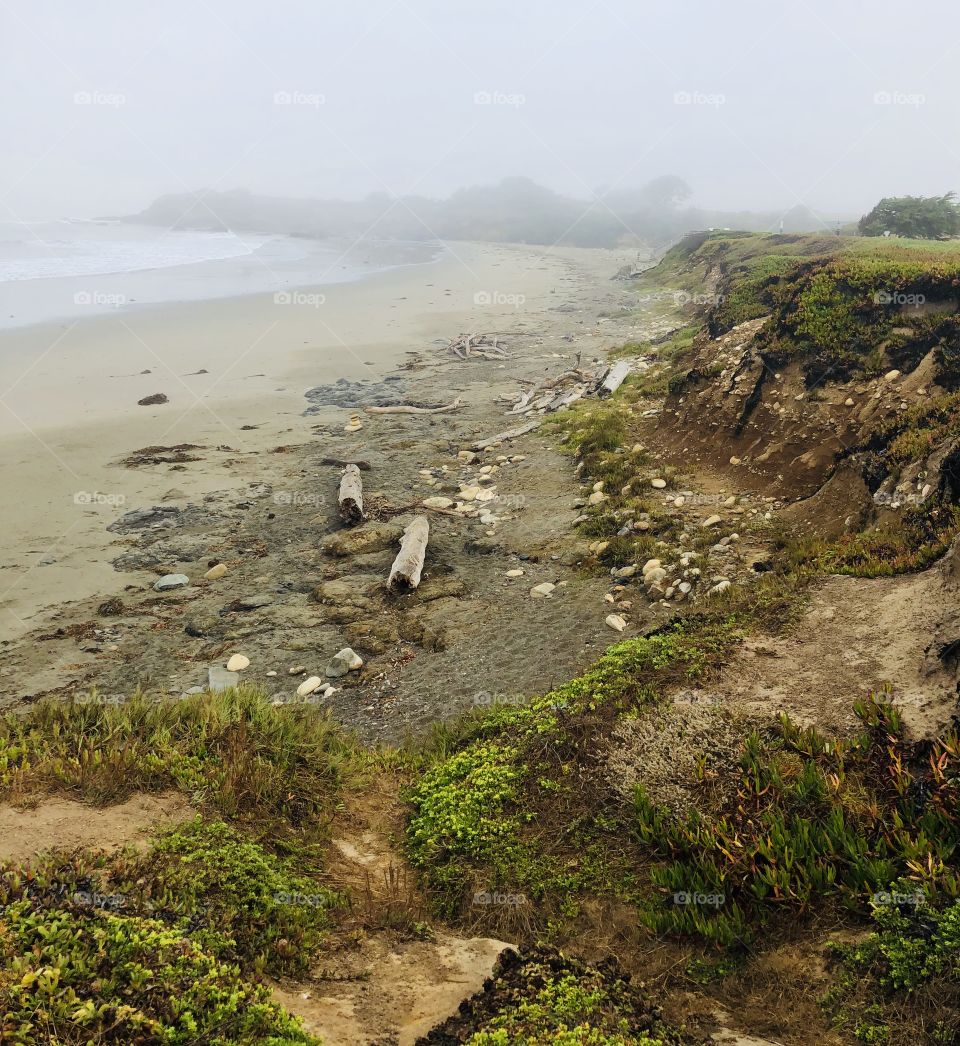 The shores of San Simeon