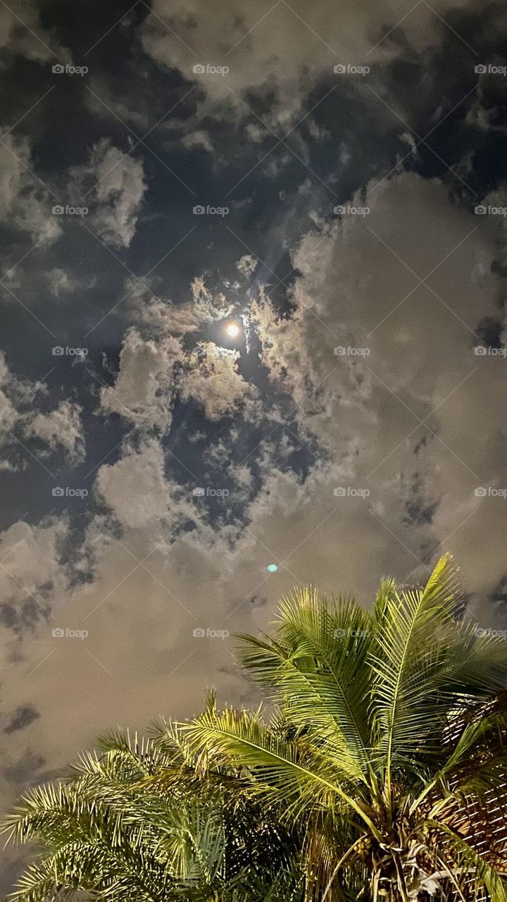 nice pitcher water 💐💐