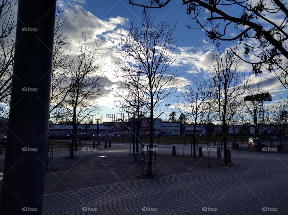 Tree, Landscape, City, Light, Dawn
