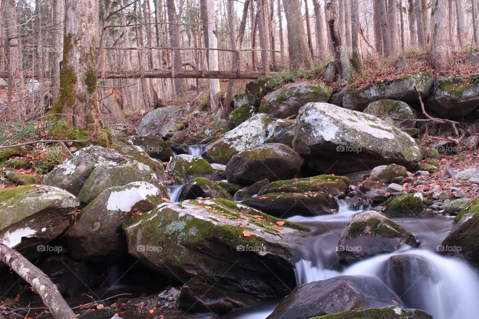 Roaring Forks stream and bridge 