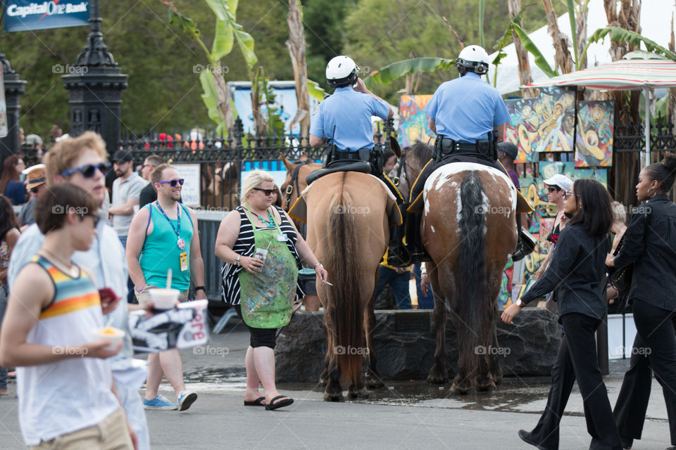 Police on the horse 