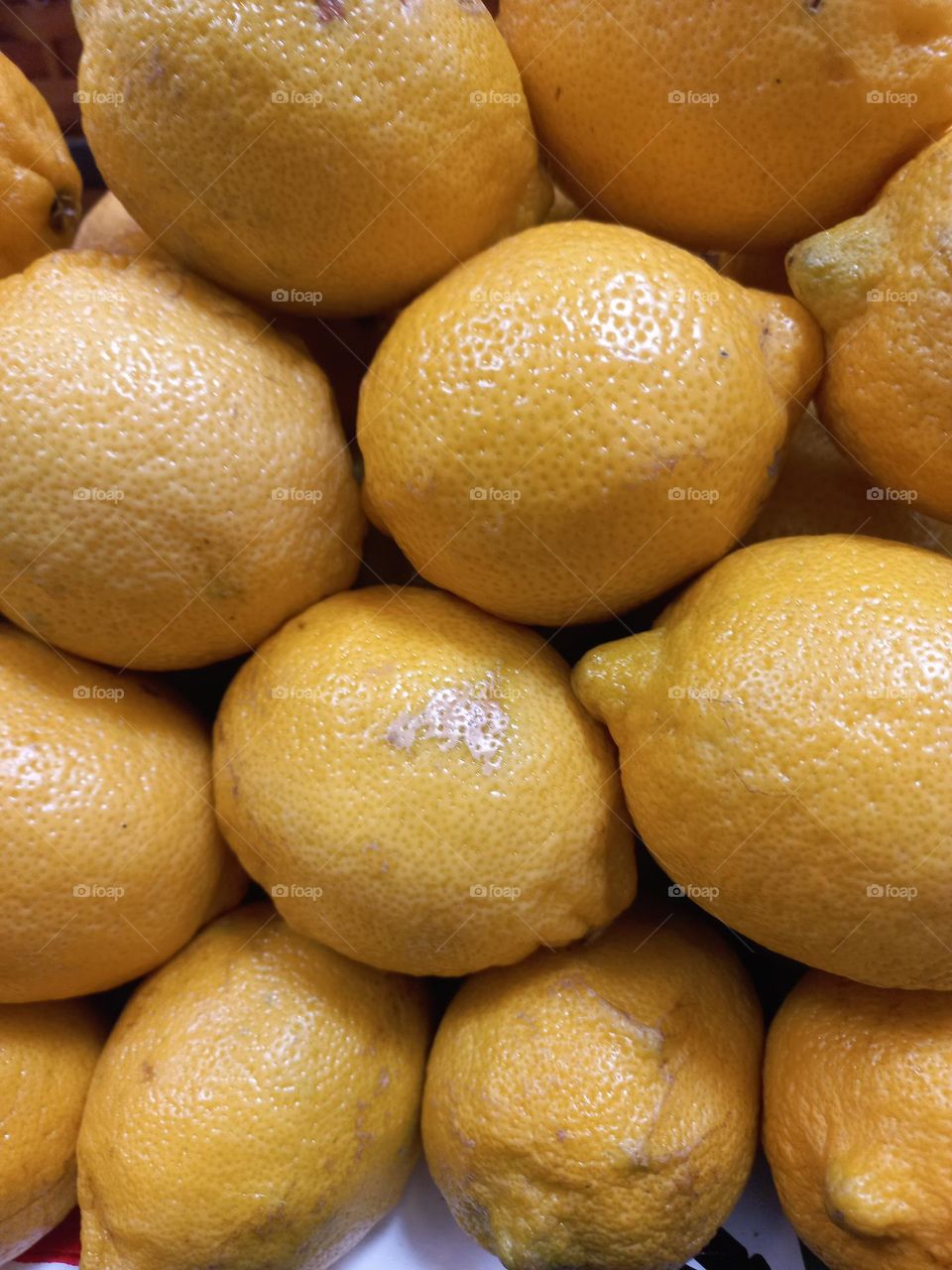 Limão Siciliano é uma fruta cítrica , que pode trazer vários benefícios para a saúde,  devido ao seu alto teor de vitamina C e minerais,  como fósforo, ferro, magnésio e potássio.