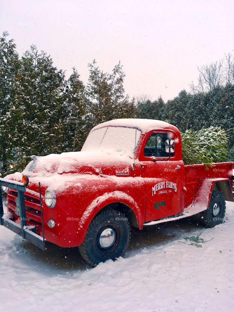 Red Christmas Truck