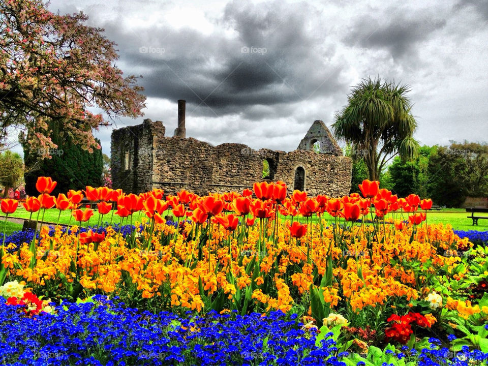 Flowers and a ancient