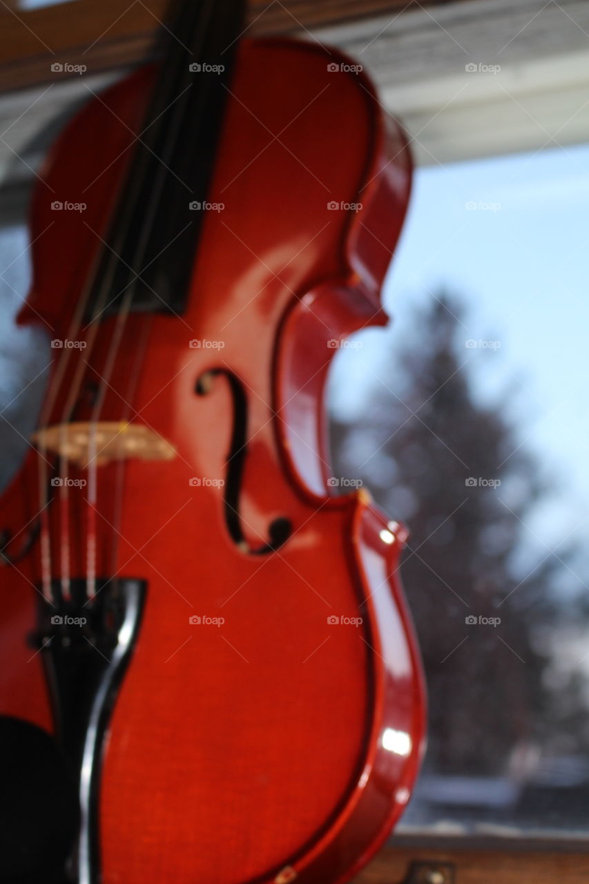 Violin, Classic, Bowed Stringed Instrument, No Person, Wood