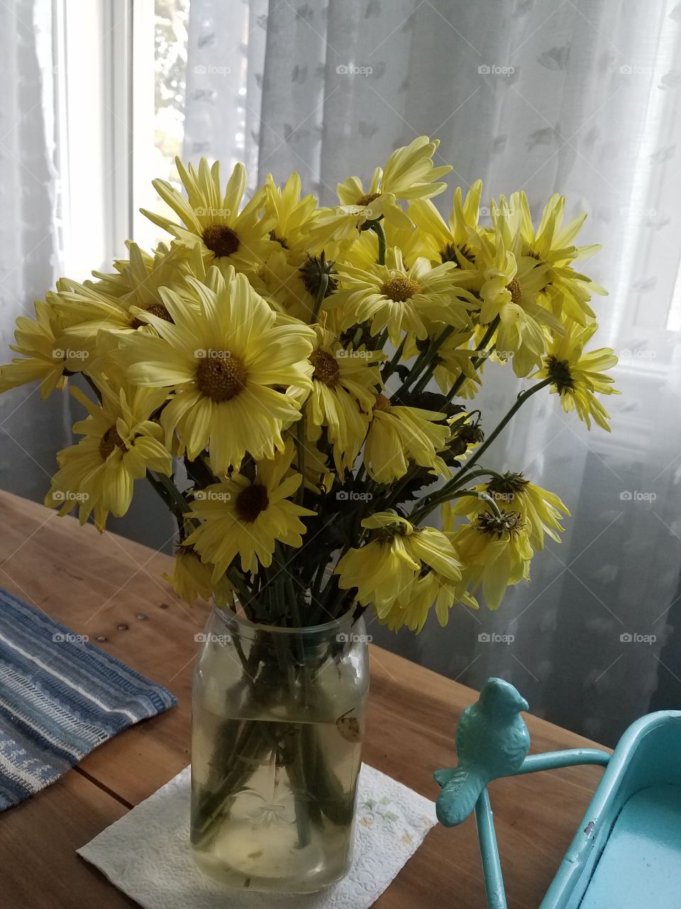 Yellow Flowers