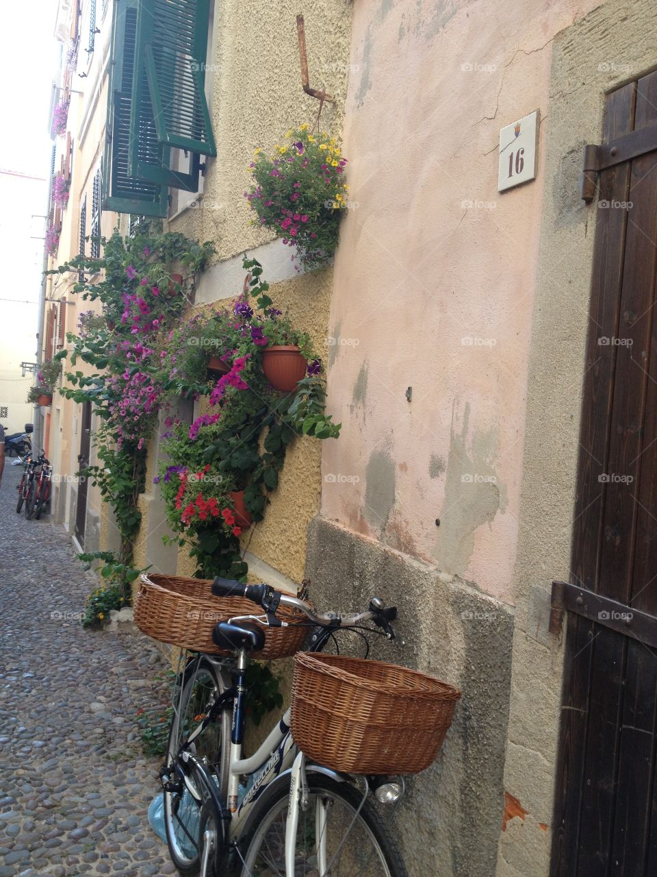 Bike and flowers