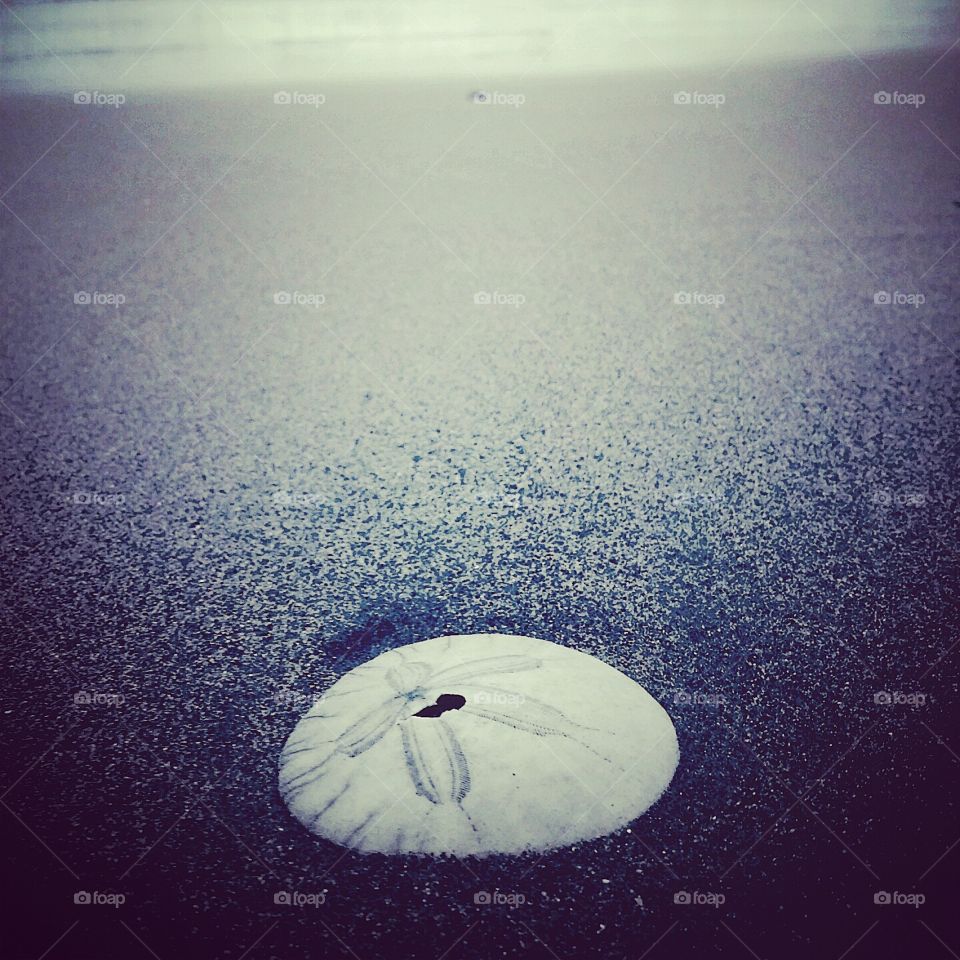 Water, No Person, Beach, Ocean, Sea