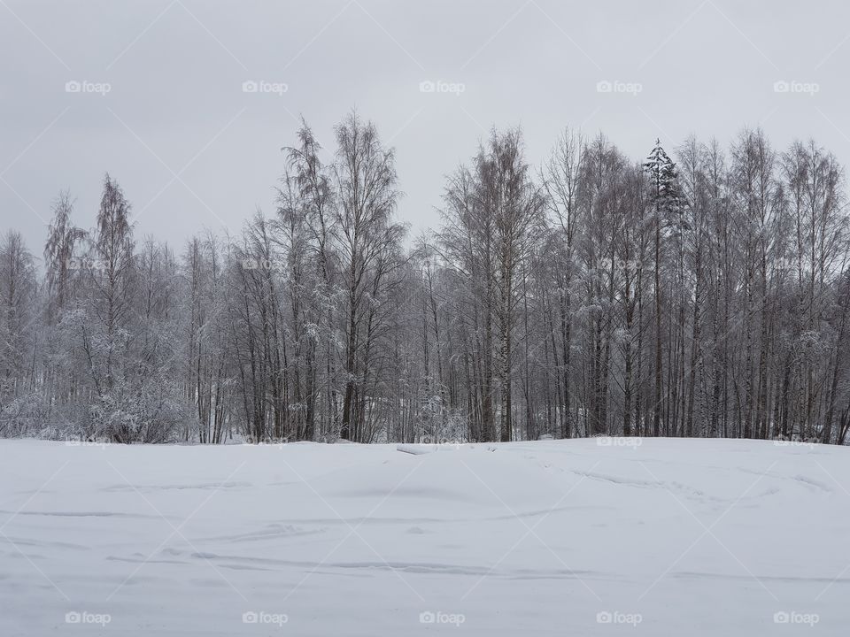 Snowy scenery