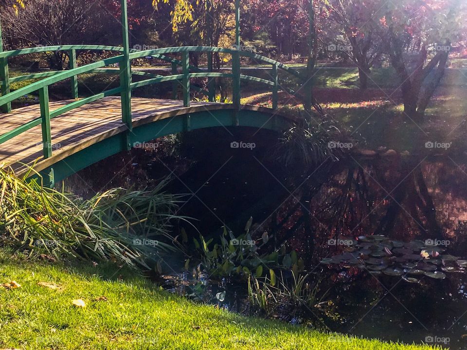 Bridge in garden