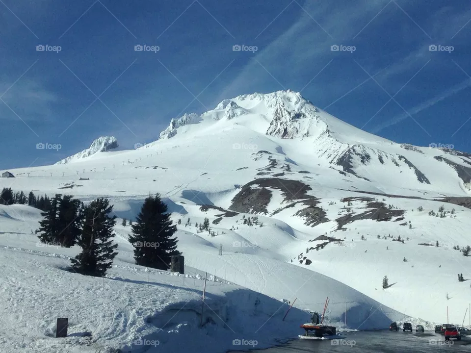 Mt. Hood