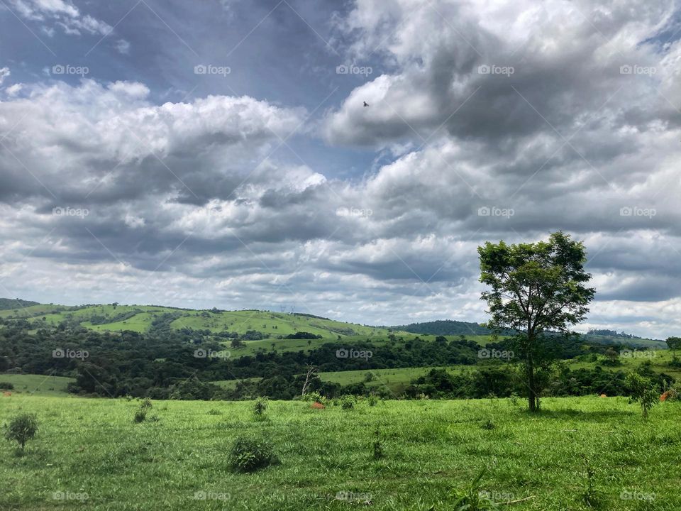 A beleza do Interior Paulista!

O verde das matas nos motiva…
