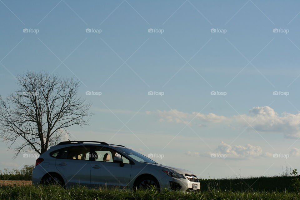 Car in field