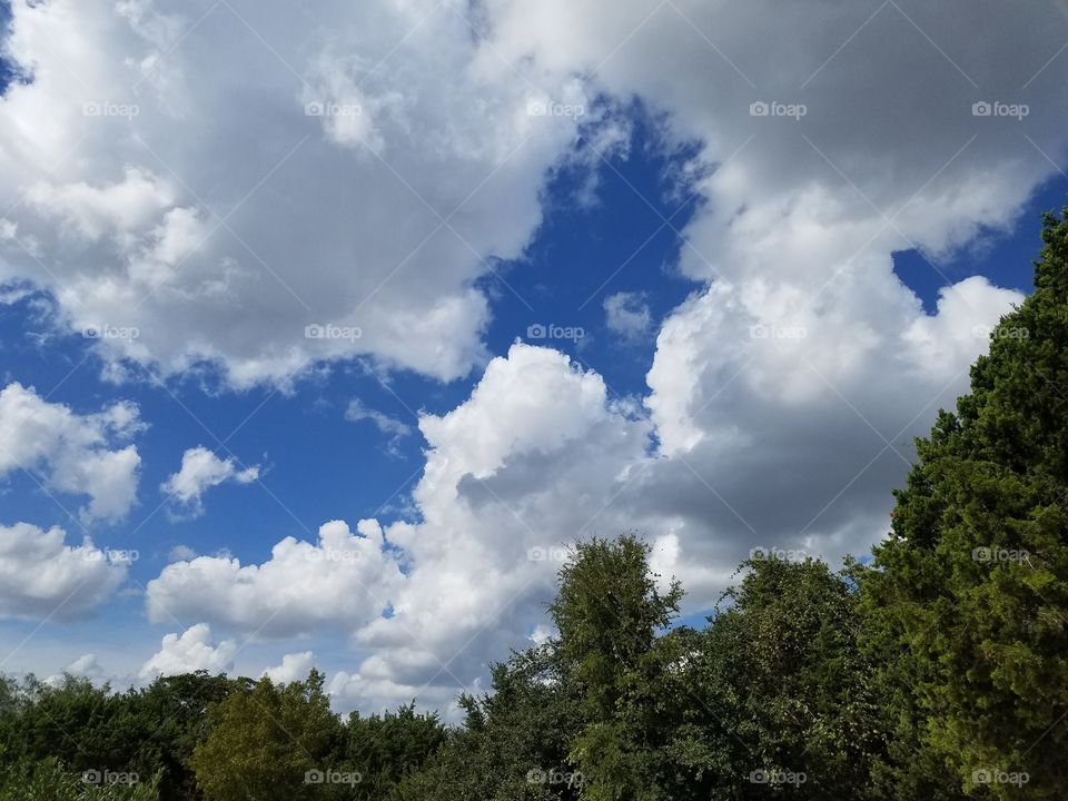 Thick fluffy Texas clouds filling the sky in clusters this fine September day.