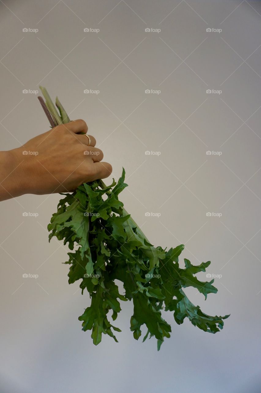 Holding bouquet of kale